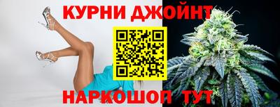 индика Нальчик