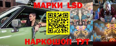 индика Нальчик