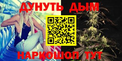 Альфа ПВП Можайск