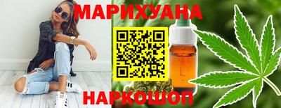 индика Нальчик
