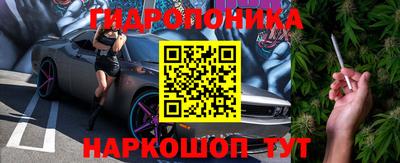 индика Нальчик